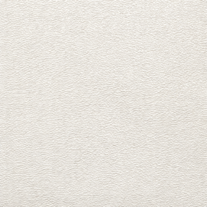 Ceiling Paper Rhone White P1978 130cm Wide